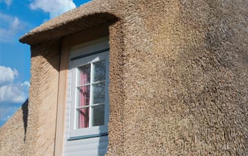 Kitbridge thatch roof disadvantages